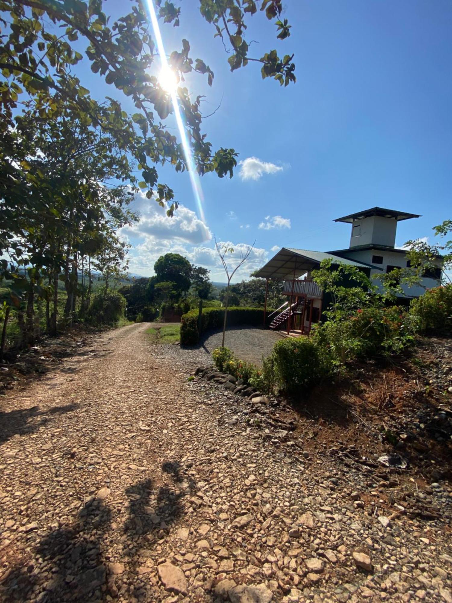Valles Of Osa Palmar Sur Exterior foto